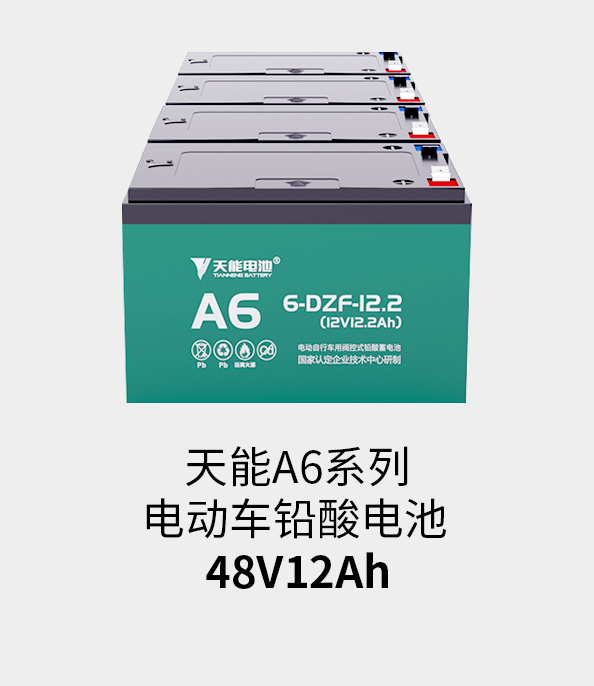 天能電池48v12ah